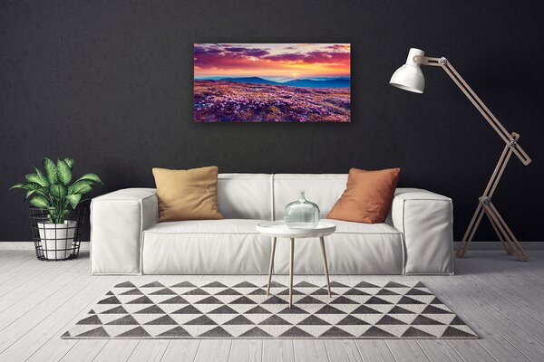 Tablou pe panza canvas Pajiște de munte Flori Natura Violet Albastru Portocaliu