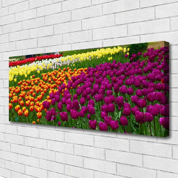 Tablou pe panza canvas Lalele Floral Galben Roșu Verde Alb