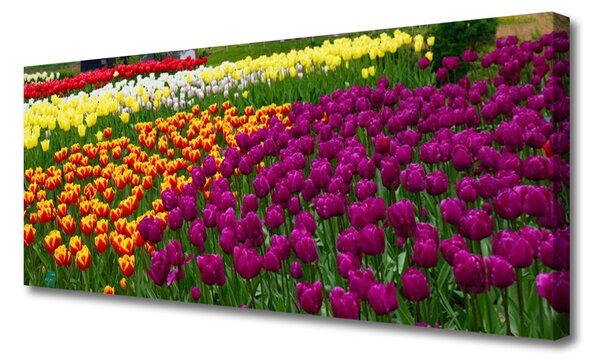 Tablou pe panza canvas Lalele Floral Galben Roșu Verde Alb