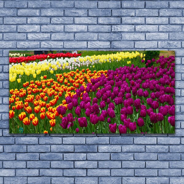 Tablou pe panza canvas Lalele Floral Galben Roșu Verde Alb