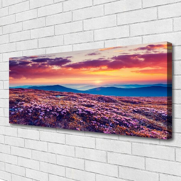 Tablou pe panza canvas Pajiște de munte Flori Natura Violet Albastru Portocaliu