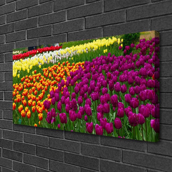 Tablou pe panza canvas Lalele Floral Galben Roșu Verde Alb