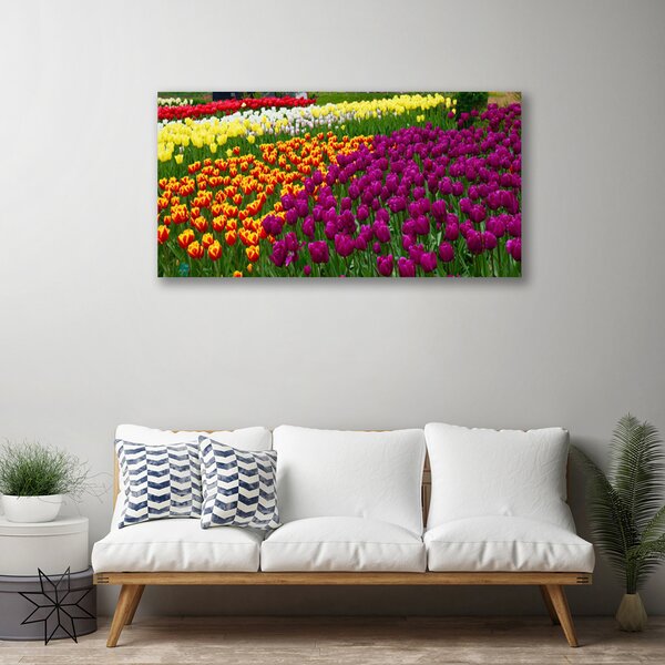 Tablou pe panza canvas Lalele Floral Galben Roșu Verde Alb