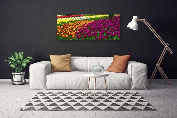 Tablou pe panza canvas Lalele Floral Galben Roșu Verde Alb