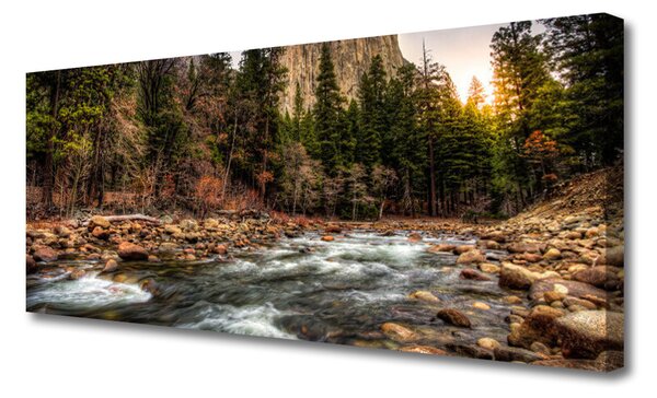 Tablou pe panza canvas Forest Lake Natura Verde Maro Albastru