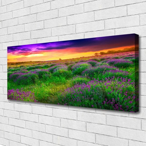 Tablou pe panza canvas Meadow Natura Roz Violet Galben Verde