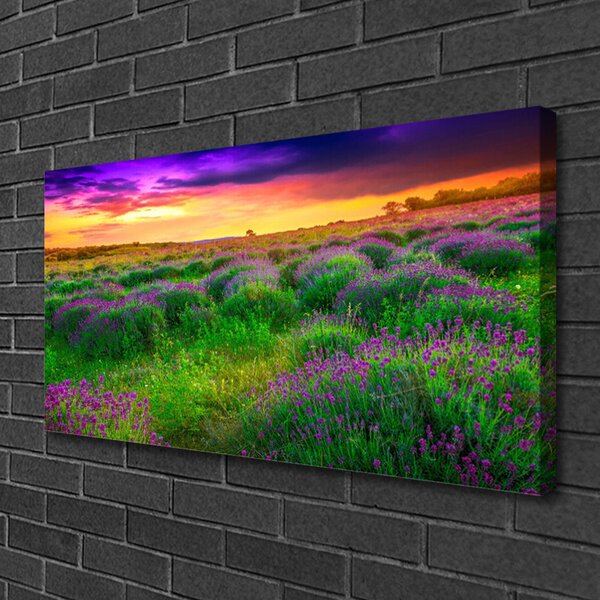 Tablou pe panza canvas Meadow Natura Roz Violet Galben Verde