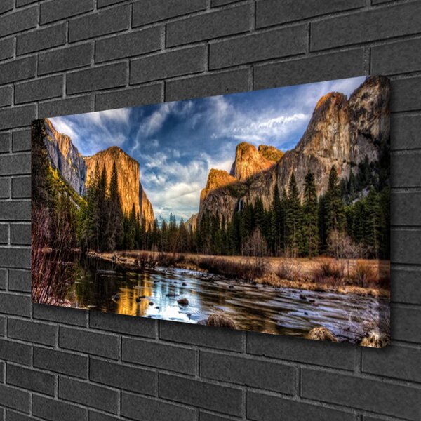 Tablou pe panza canvas Mountain Lake Forest Natura Verde Gri