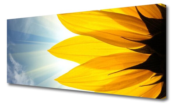 Tablou pe panza canvas Petale Floral Albastru Galben