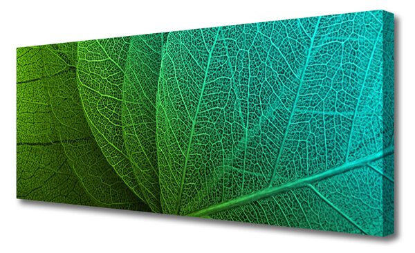 Tablou pe panza canvas Rezumat Frunze verde florale