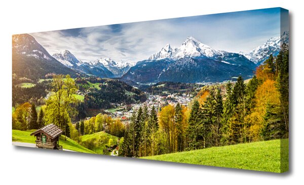 Tablou pe panza canvas Alpi Peisaj Verde Albastru