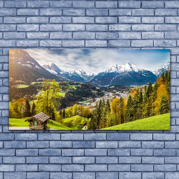 Tablouri acrilice Alpi Peisaj Verde Albastru