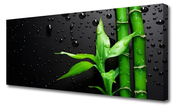 Tablou pe panza canvas Frunze de bambus verde florale negru