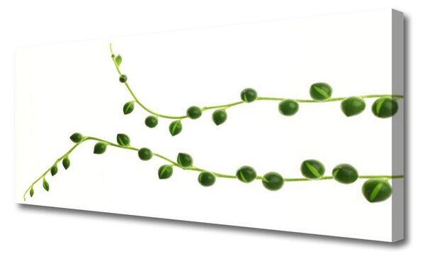 Tablou pe panza canvas Plante Ornamentale Floral Verde Alb
