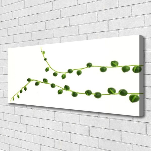 Tablou pe panza canvas Plante Ornamentale Floral Verde Alb