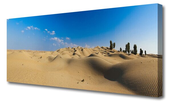 Tablou pe panza canvas Desert Peisaj Galben Albastru