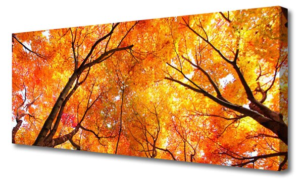 Tablou pe panza canvas Copaci Natura Galben Portocaliu Maro