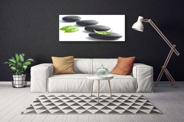 Tablou pe panza canvas Pietrele Arta Negru Verde Alb