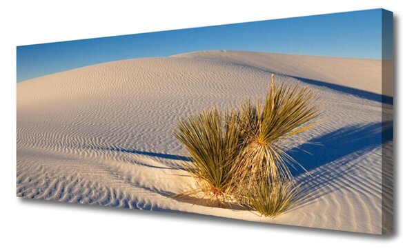 Tablou pe panza canvas Desert Peisaj Brun Verde