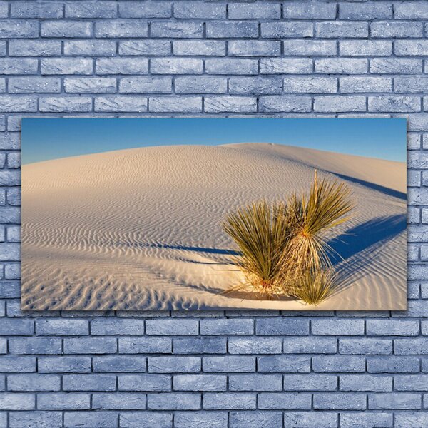 Tablou pe panza canvas Desert Peisaj Brun Verde
