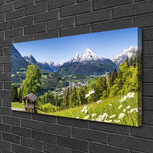 Tablou pe panza canvas Mountain Fields Natura Verde Gri Alb
