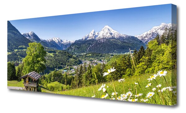 Tablou pe panza canvas Mountain Fields Natura Verde Gri Alb