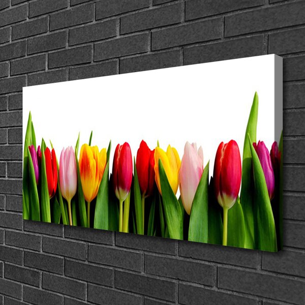 Tablou pe panza canvas Lalele Floral Roșu Roz Galben Verde