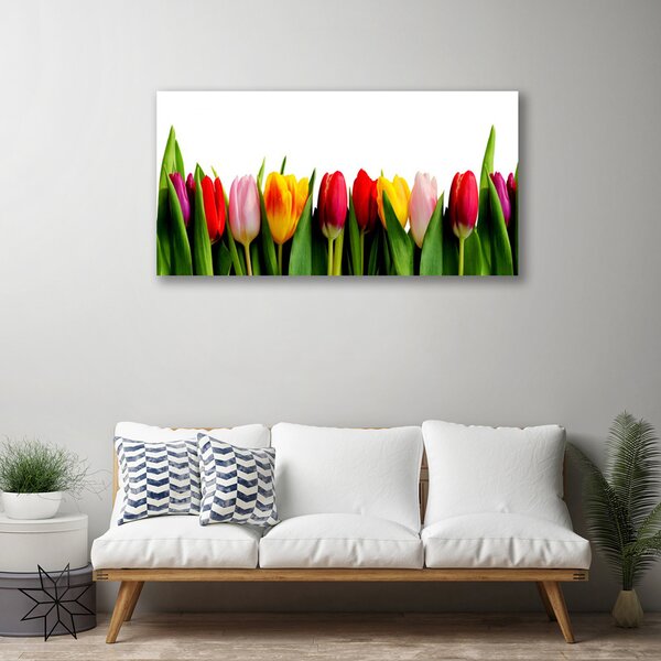 Tablou pe panza canvas Lalele Floral Roșu Roz Galben Verde