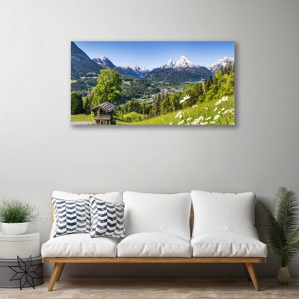Tablou pe panza canvas Mountain Fields Natura Verde Gri Alb