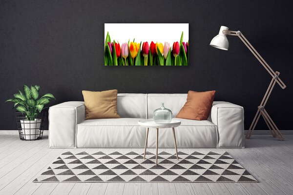 Tablou pe panza canvas Lalele Floral Roșu Roz Galben Verde