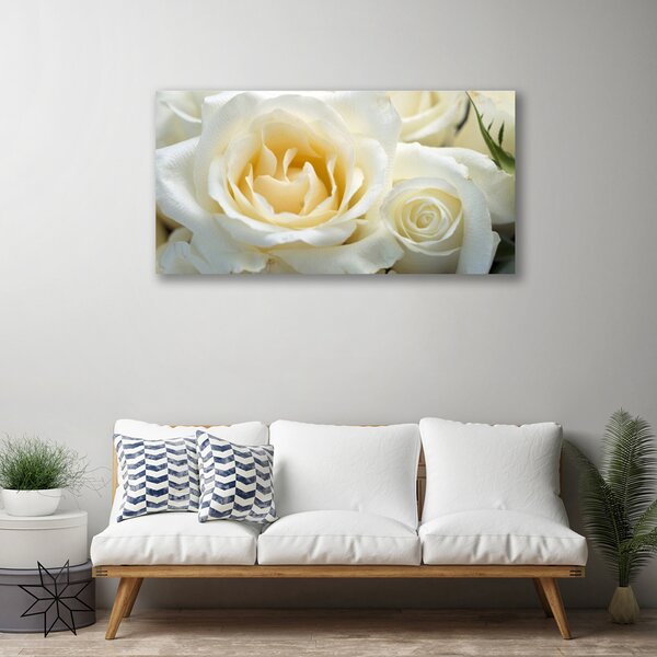Tablou pe panza canvas Trandafiri Floral Alb Verde
