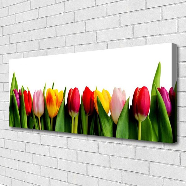 Tablou pe panza canvas Lalele Floral Roșu Roz Galben Verde