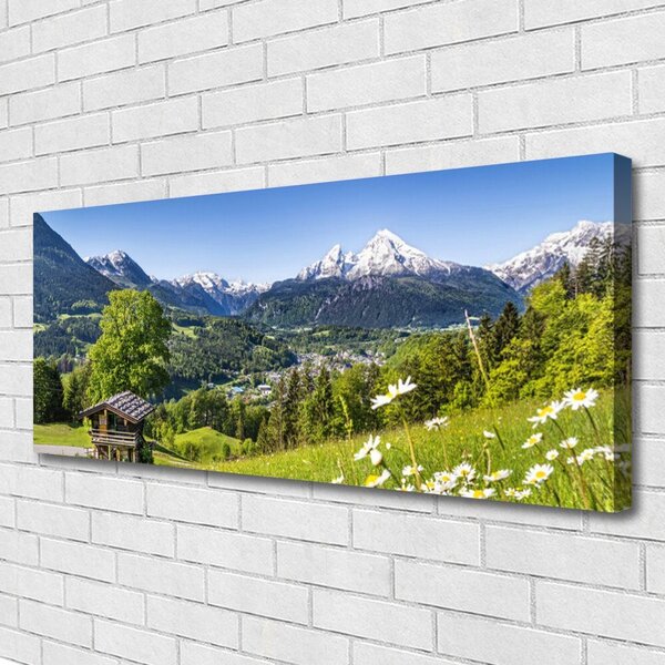 Tablou pe panza canvas Mountain Fields Natura Verde Gri Alb
