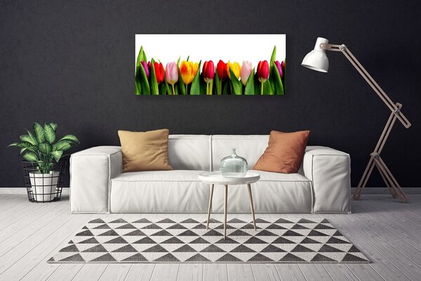 Tablou pe panza canvas Lalele Floral Roșu Roz Galben Verde