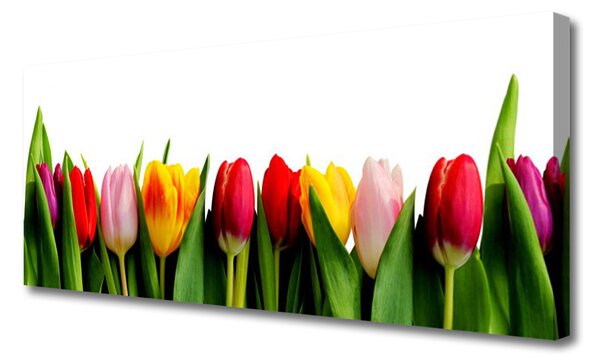 Tablou pe panza canvas Lalele Floral Roșu Roz Galben Verde
