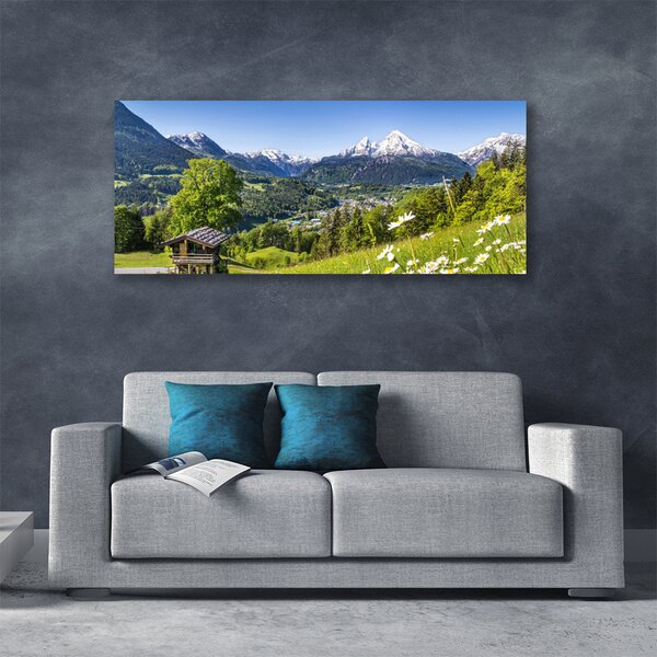 Tablou pe panza canvas Mountain Fields Natura Verde Gri Alb