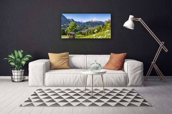Tablou pe panza canvas Mountain Fields Natura Verde Gri Alb