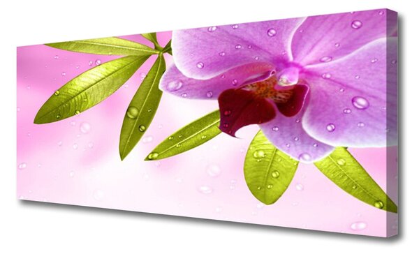 Tablou pe panza canvas Frunze florale flori roz verde