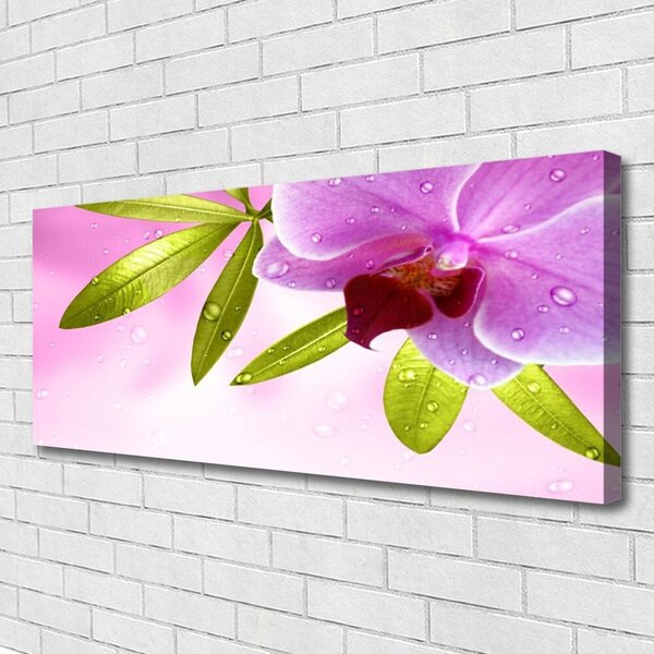 Tablou pe panza canvas Frunze florale flori roz verde