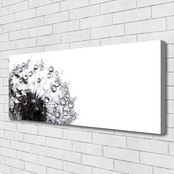 Tablou pe panza canvas Păpădie Floral Gri Alb