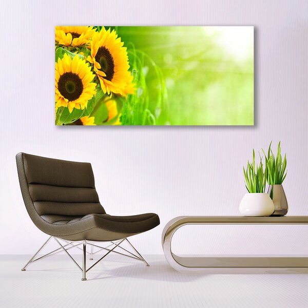 Tablou pe sticla Floarea soarelui Floral Brun Galben Verde