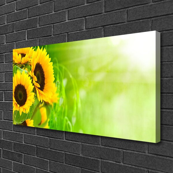 Tablou pe panza canvas Floarea soarelui Floral Brun Galben Verde