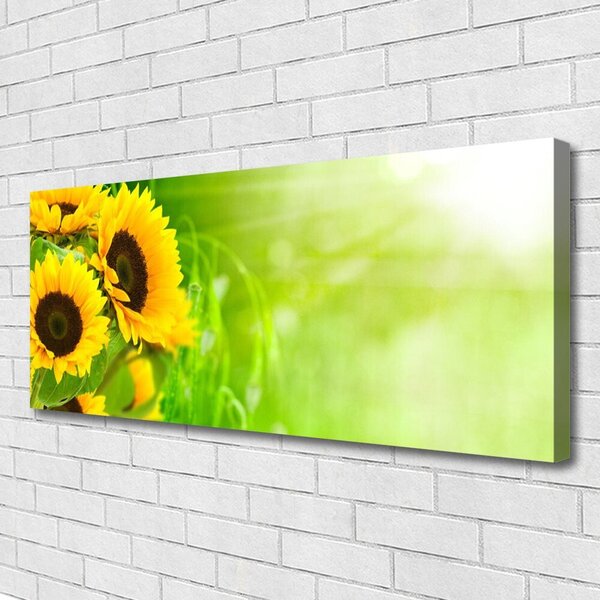 Tablou pe panza canvas Floarea soarelui Floral Brun Galben Verde