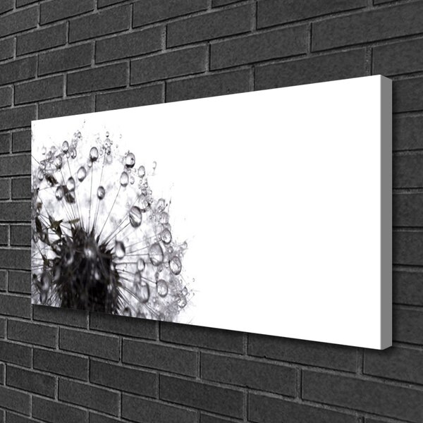 Tablou pe panza canvas Păpădie Floral Gri Alb