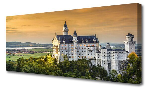 Tablou pe panza canvas Château Peisaj Gri Verde Galben