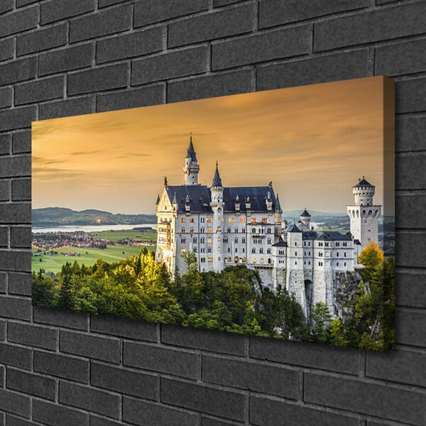 Tablou pe panza canvas Château Peisaj Gri Verde Galben