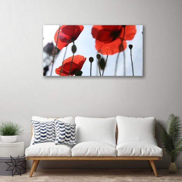 Tablou pe panza canvas Maci Floral Rosu Negru