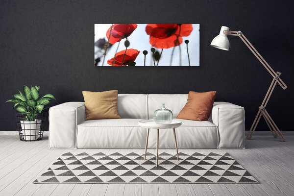 Tablou pe panza canvas Maci Floral Rosu Negru