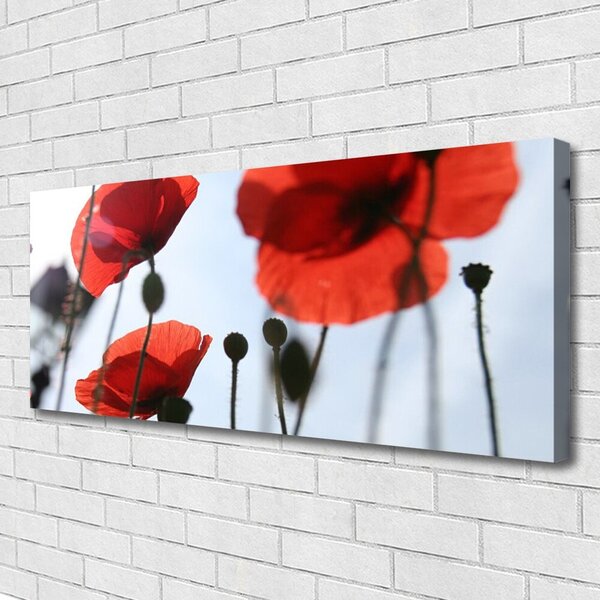 Tablou pe panza canvas Maci Floral Rosu Negru