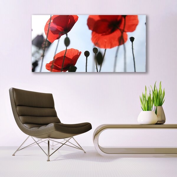 Tablou pe panza canvas Maci Floral Rosu Negru